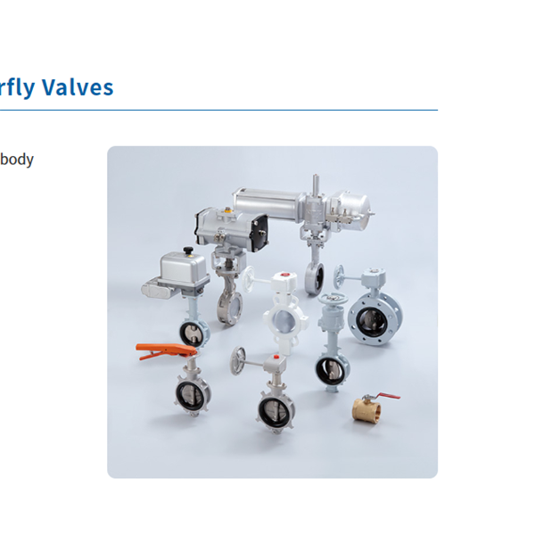 KITZ日本開滋鋁制蝶閥（BJ系列）G-10BJUE-80A