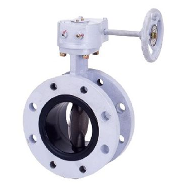 KITZ開滋閥門\防爆電動蝶閥EXS100-10UB-100A