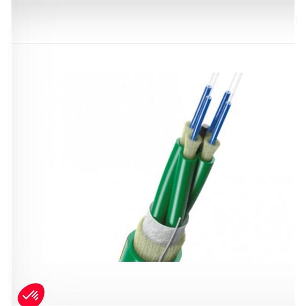 英國(guó)Scaime 力傳感器MTRZ-100kN