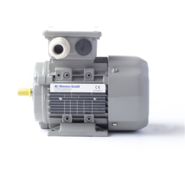 德國AC MOTOREN三相異步雙速電機(jī)AC10L4800011