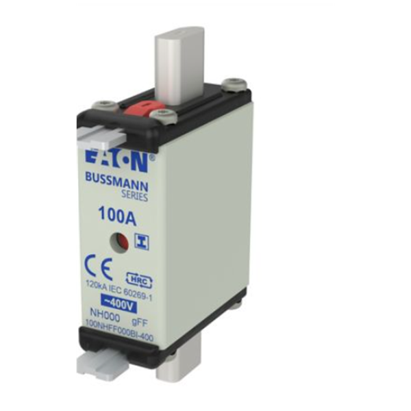 EATON伊頓Bussmann系列快速圓帽式熔斷器 FWX-50G14F